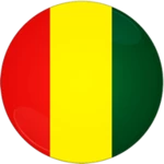 Logo of Radio Guinea android Application 