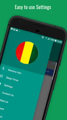 Radio Guinea android App screenshot 11